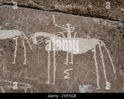 Close up view of petroglyph man carved in stone in Karelia, Russia ...