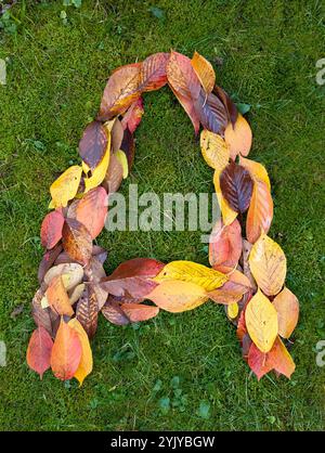 The letter A formed from colorful autumn leaves on green background Stock Photo