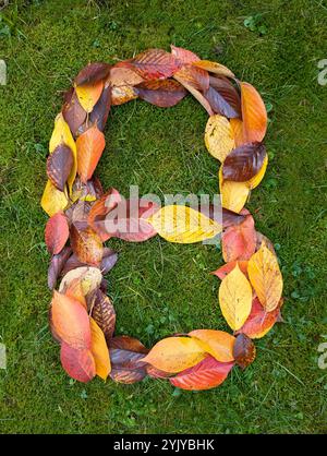 The letter B formed from colorful autumn leaves on green background Stock Photo