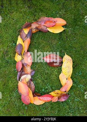 The letter G formed from colorful autumn leaves on green background Stock Photo