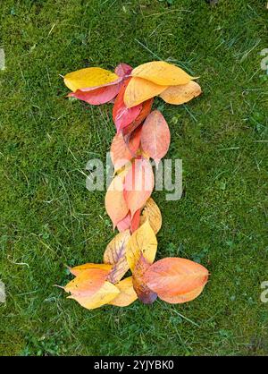 The letter I formed from colorful autumn leaves on green background Stock Photo