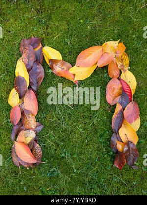 The letter M formed from colorful autumn leaves on green background Stock Photo