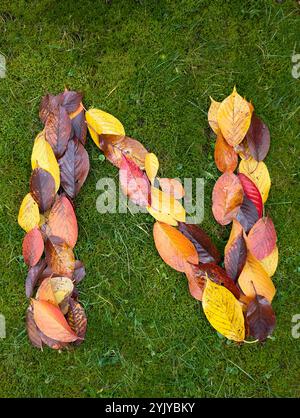 The letter N formed from colorful autumn leaves on green background Stock Photo