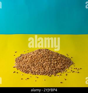 Pile of wheat grains isolated on colored background, Ukrainian flag. Stock Photo