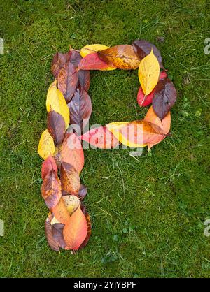 The letter P formed from colorful autumn leaves on green background Stock Photo