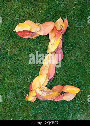 The letter Z formed from colorful autumn leaves on green background Stock Photo