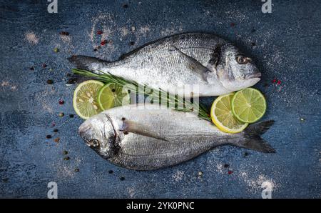 Fresh, raw dorado fish, on a dark blue background, top view, two pieces, no people Stock Photo