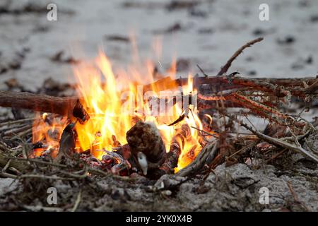 small fire burning driftwood on the beach cushendun, county antrim, northern ireland Stock Photo