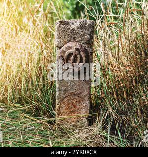 Old sign on short concrete pole with hammer and sickle among dry grass in field. Soviet history Stock Photo