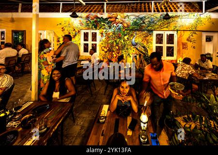 An evening scene inside MosaCaña Bar & Kitchen, Penstraat 41, Willemstad, Curaçao. Guests sit at long wooden tables; in the background, Francis Sling's large-scale mural of a peacock and tropical fruits covers a yellow wall. The bar specialises exclusively in rum, tequila and mezcal. Stock Photo
