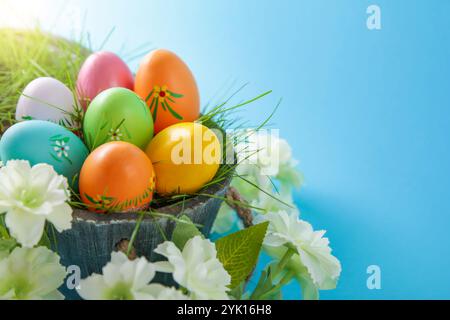 Happy Easter. Colorful Easter eggs and white flower on blue background.Copy space Stock Photo
