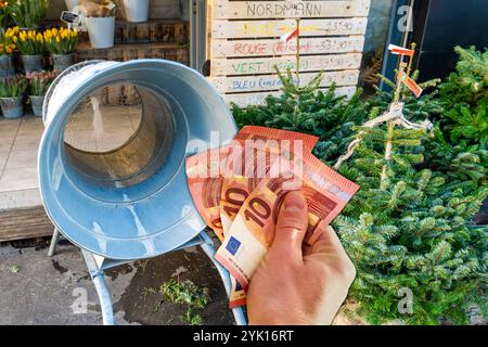 16 November 2024: Symbolic image of the rising costs of buying a Christmas tree at Christmas time. A hand holds several euro bills in front of a net and a tree stand in the background. PHOTOMONTAGE *** Symbolbild für die steigenden Kosten beim Kauf eines Christbaums in der Weihnachtszeit. Eine Hand hält mehrere Euro-Scheine vor einem Netz und einem Baumständer im Hintergrund. FOTOMONTAGE Stock Photo