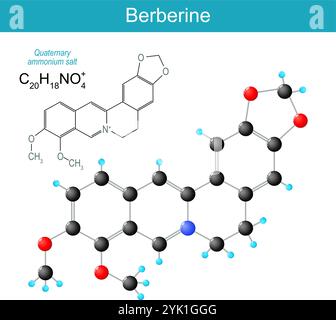 Berberine molecule. molecular chemical structural formula and model of Plant alkaloid for treat of Metabolic syndrome, Cholesterol reduction, Weight m Stock Vector