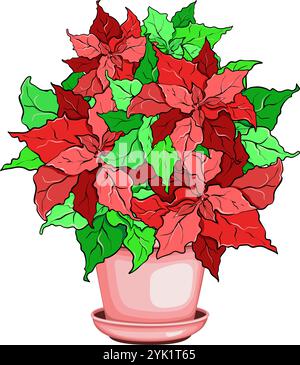 Poinsettia flowers in a clay pot vector illustration Stock Vector
