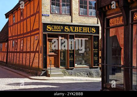 Den Gamle By or The Old Town, open air town museum that consists of 75 historical buildings collected from 20 townships in all parts of the country (o Stock Photo