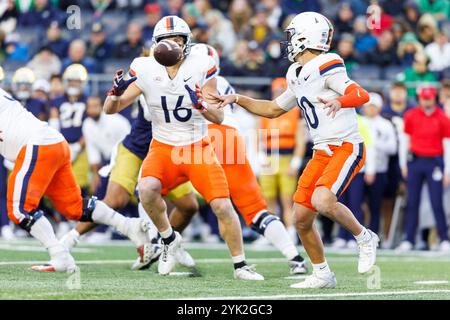 South Bend, Indiana, USA. 16th Nov, 2024. Virginia tight end Tyler Neville (16) catches pass from Virginia quarterback Anthony Colandrea (10) during NCAA football game action between the Virginia Cavaliers and the Notre Dame Fighting Irish at Notre Dame Stadium in South Bend, Indiana. John Mersits/CSM/Alamy Live News Stock Photo