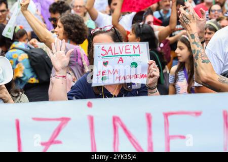 Protesters participate in the 'March for Climate' event with the aim of drawing attention to the climate emergency, the fight against hunger and against the cutting down of trees for the construction of the Sena Madureira Street tunnel, on Avenida Paulista, central region of São Paulo, this Saturday, 11/16/2024 Credit: Brazil Photo Press/Alamy Live News Stock Photo