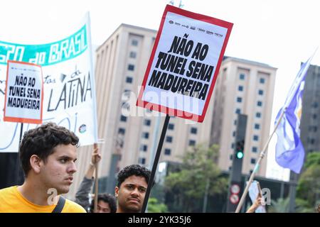 Protesters participate in the 'March for Climate' event with the aim of drawing attention to the climate emergency, the fight against hunger and against the cutting down of trees for the construction of the Sena Madureira Street tunnel, on Avenida Paulista, central region of São Paulo, this Saturday, 11/16/2024 Credit: Brazil Photo Press/Alamy Live News Stock Photo