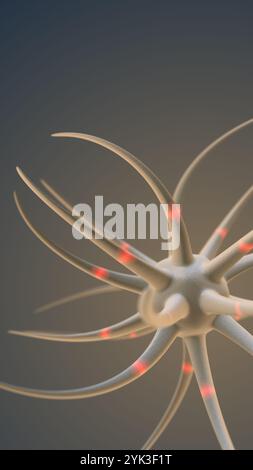 Neurons and the nervous system Synaptic transmission Stock Photo