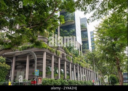 20.10.2024, Singapur, Republik Singapur, Asien - Aussenansicht des Parkroyal Collection Pickering Hotel in Chinatown. Das Luxushotel mit seinem ueppigen Gruen ist ein umweltfreundliches Gartenkonzept-Hotel, das von dem in Singapur ansaessigen Architekturbuero WOHA entworfen wurde. *** 20 10 2024, Singapore, Republic of Singapore, Asia Exterior view of the Parkroyal Collection Pickering Hotel in Chinatown The luxury hotel with its lush greenery is an eco-friendly garden concept hotel designed by Singapore-based architecture firm WOHA Stock Photo