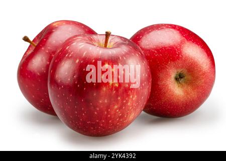 Three ripe red apples on white background. File contains clipping path. Stock Photo
