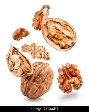 Set of walnut and walnut kernels leaves isolated on white background. File contains clipping path. Stock Photo