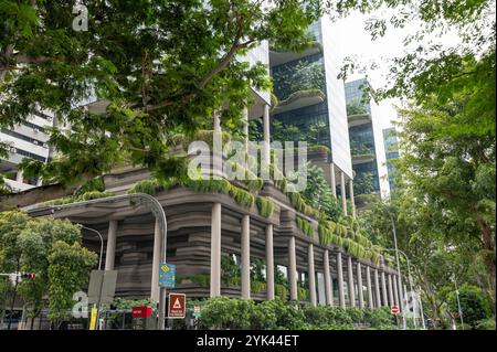 20.10.2024, Singapore, Republic of Singapore, Asia - View of the Parkroyal Collection Pickering Hotel in Chinatown, green sustainable architecture. Stock Photo