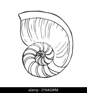 Hand drawn sea shells vector set Stock Vector