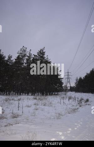 Bushes and a power line stand in a snowy field against the backdrop of ...