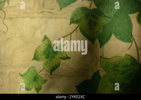 Wallpapers, things, rolls of paper wallpaper. Brown paper background with green ivy leaf pattern. Stock Photo