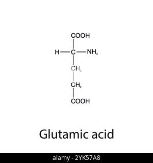 Chemical formula of glutamic acid. Essential amino acids. Organic chemistry. Vector. Stock Vector