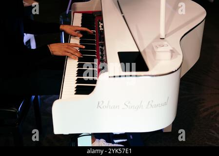 Hammersmith, London, UK. 17th November, 2024 The 20th annual National Asian Wedding Show celebrates the cultural richness of Asian Wedding traditions, bringing together brands and organisations to showcase their offerings to prospective brides, grooms, and families.   © Simon King/ Alamy Live News Stock Photo