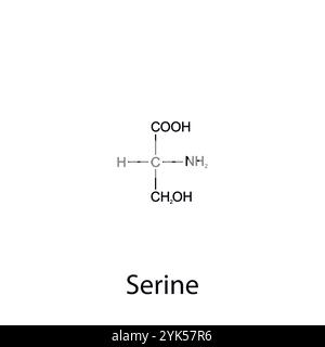 Chemical formula of serine. Essential amino acids. Organic chemistry. Vector. Stock Vector