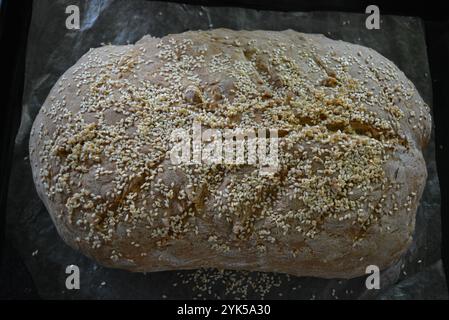 Food, homemade white bread with sesame seeds is located on a black metal baking sheet. Fluffy loaf, bread rolls made at home. Stock Photo