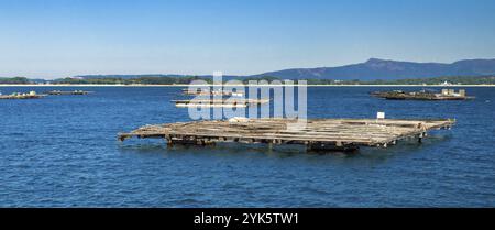 Mussel Aquaculture Rafts Batea, Mussel Growing Sea Platform, Batea Mussel Farms, Ria de Arousa, Arousa Estuary, Pontevedra, Galicia, Spain, Europe Stock Photo