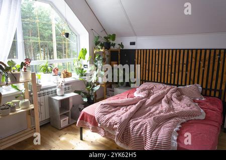 Unmade bed with red striped linen and a mess in Loft style bedroom interior, black wall with wooden slats, metal bed, potted plants on a trapezoidal w Stock Photo