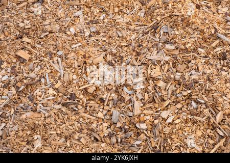 woodchips, forest floor mulch. wood chip background Stock Photo