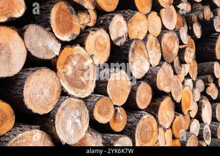 Stacked Timber Logs - Natural Wood Texture Background . Stock Photo