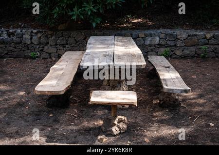 public picnic spot in forest with concrete table and benches near ...