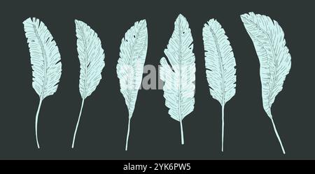 Banana leaves silhouette on dark background. Vector hand drawn collection illustration. Stock Vector