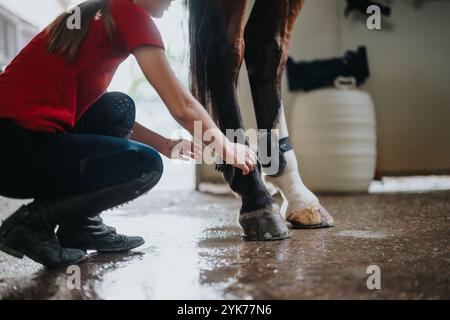 Girl caring for horse's leg in stable, focusing on equine grooming and hygiene Stock Photo