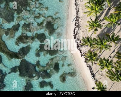 looking down aerial view of a tropical Caribbean sandy beach with aqua warm waters and palm trees Stock Photo