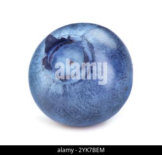 Single blueberry isolated on white background Stock Photo