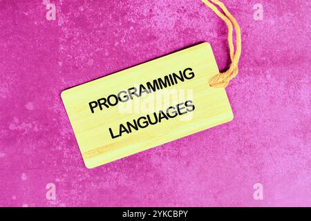 Business, programming, interface, application and network concept. Text PROGRAMMING LANGUAGES on the card on a crimson background. Stock Photo