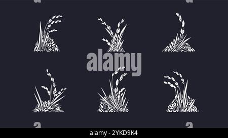 Rice set. Vector different types of grains, texture plant on black background. Asian traditional food. Organic milk, gluten free flour Stock Vector