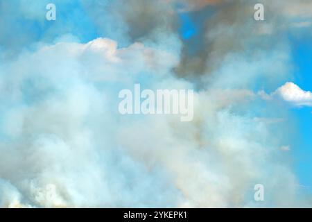 Smoke cloud after wildfire in meadow, selective focus Stock Photo