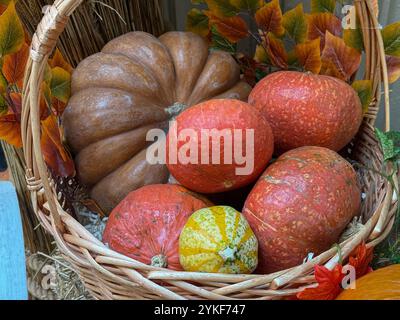 A colorful display of pumpkins in a wicker basket surrounded by autumn leaves, ideal for Halloween and harvest festival themes Stock Photo