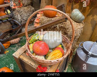 A vibrant fall harvest scene featuring a wicker basket filled with a colorful variety of pumpkins surrounded by hay, wood accents, and fall foliage, e Stock Photo