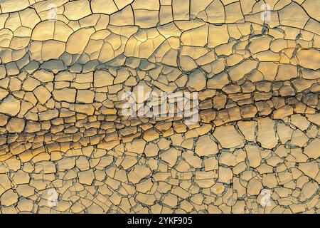 Sunlight illuminates the intricate, cracked patterns of a dry mud surface, showcasing a beautiful natural texture. Stock Photo