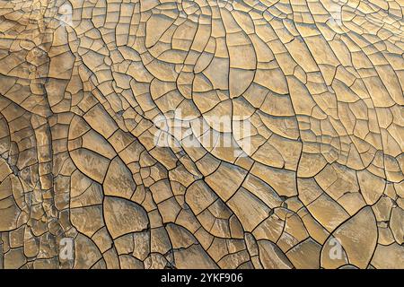 An expansive view of sunlit, cracked mud, creating a natural abstract pattern on the ground. Stock Photo
